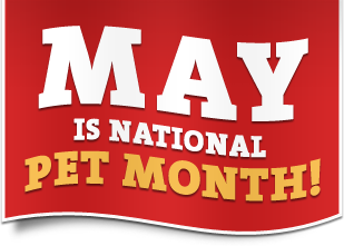 National-Pet-Month